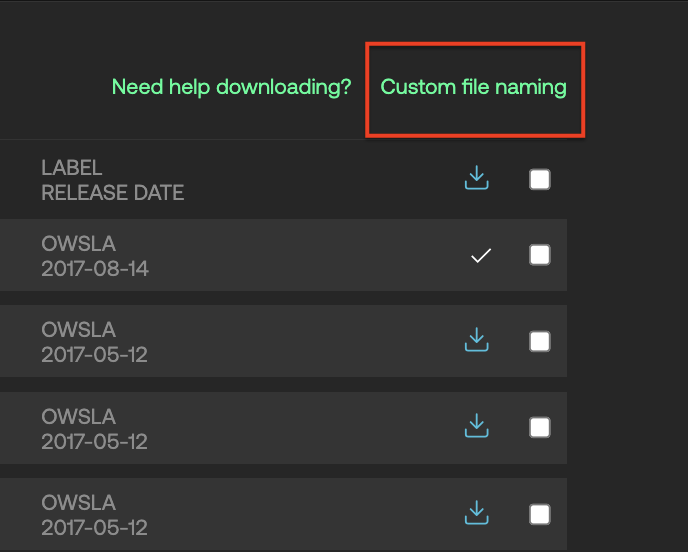 How Do I Customize The File Naming Structure When Downloading Tracks ...